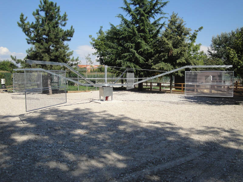 giostra da lavoro per quattro cavalli in fase di lavorazione diametro 14-metri realizzata ad Udine