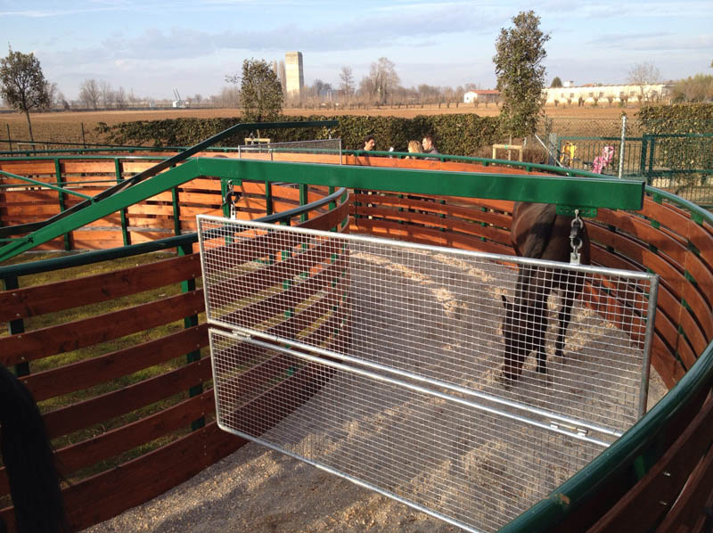 giostra da lavoro per quattro cavalli finitura in legno diametro 14 metri